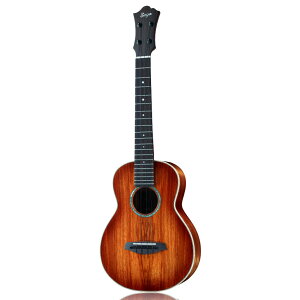 aNueNue RT1K-IT Ice Tea Sunburst �e�i�[�E�N���� Singer�V���[�Y �A�k�G�k�G