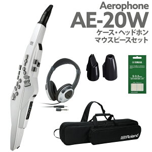 Roland AE-20W P[X wbhz p}EXXs[XZbg GAtH EChVZTCU[ 2023NVJ[ [h