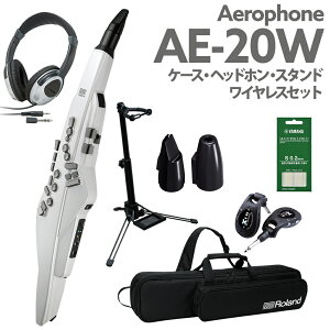 Roland AE-20W P[X wbhz pX^h CX p}EXs[XZbg GAtH EChVZTCU[ 2023NVJ[ [h