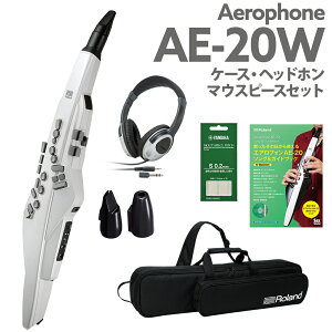 Roland AE-20W P[X wbhz p}EXXs[X KChubN Zbg GAtH EChVZTCU[ 2023NVJ[ [h