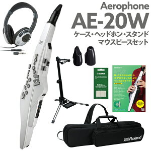 Roland AE-20W P[X wbhz pX^h p}EXs[X KChubN Zbg GAtH EChVZTCU[ 2023NVJ[ [h