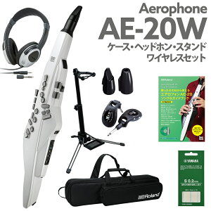 Roland AE-20W P[Xwbhz pX^h CX p}EXs[X KChubN GAtH EChVZTCU[ 2023NVJ[ [h