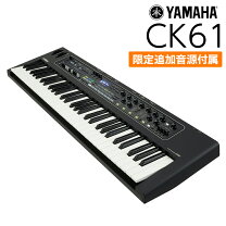 楽天市場】YAMAHA CK61の通販
