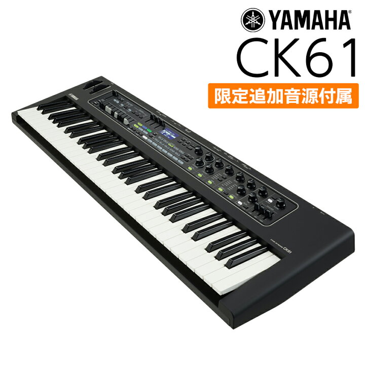 楽天市場】【学生さんにケースプレゼント】 YAMAHA CK61 61鍵盤 