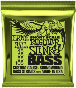 ERNiE BALL 2852 .045-.105 GLx[X@V[gXP[ A[j[{[