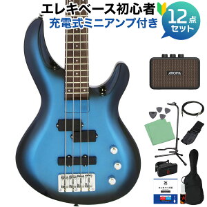 AriaProII IGB-STD MBS x[XS12_Zbg y[d~jAvtz PJ^Cv AAv2 yS҃Zbgz