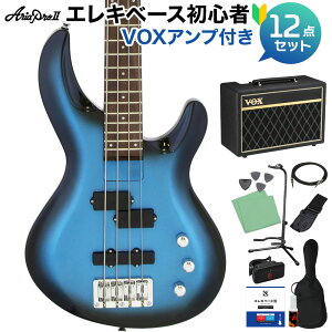 AriaProII IGB-STD MBS x[XS12_Zbg yVOXAvtz PJ^Cv AAv2 yS҃Zbgz