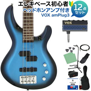 AriaProII IGB-STD MBS x[XS12_Zbg ywbhzAvtz PJ^Cv AAv2 yS҃Zbgz