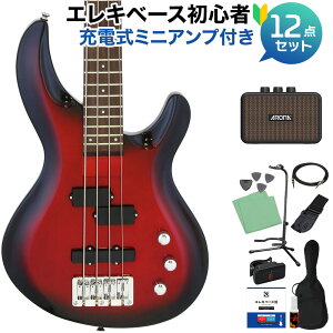 AriaProII IGB-STD MRS x[XS12_Zbg y[d~jAvtz PJ^Cv AAv2 yS҃Zbgz