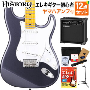 HISTORY HST/m-Standard CFM Charcoal Frost Metallic GLM^[ S12_Zbg y}nAvtz nobJ[ؑ։\ XggLX^[ qXg[ 3Nۏ {