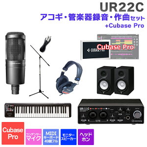 steinberg UR22C + Cubase Pro ARMEǊy ^EȏS҃Zbg ߂ĂDTMɃIXXI X^Co[O