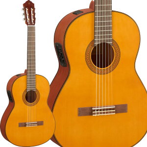 YAMAHA CGX122MS GKbgM^[ mJb^EFC P NVbNM^[ }n