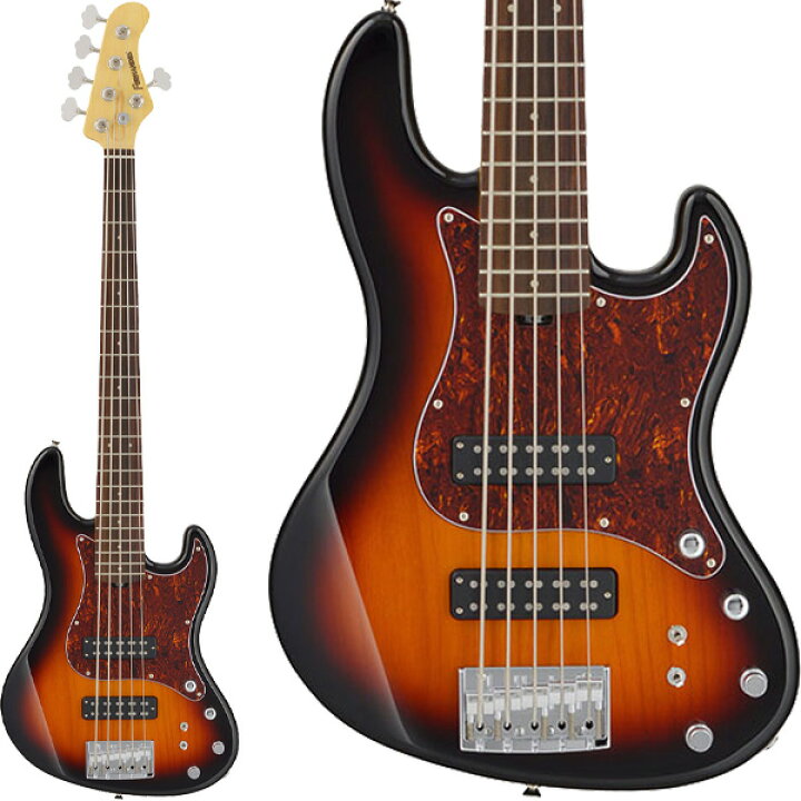 楽天市場】FERNANDES FJB5-DLX PCS 5弦ベース エレキベース コイル 