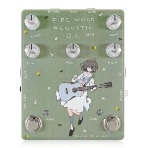 Custom Illustrated FA DI/܂Ђ#02 RpNgGtFN^[ DIy_ GARp JX^CXgCebh Firewood Acoustic D.I. MKII