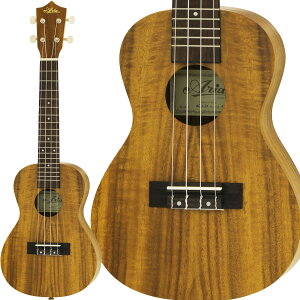 ARIA ACU-1K RT[gEN RA AA