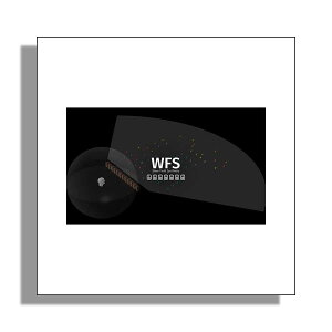 FLUX WFS Add-on option for Spat Revolution Ultimate tbNX