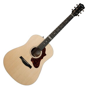 Godin Metropolis Classic EQ GARM^[ S_