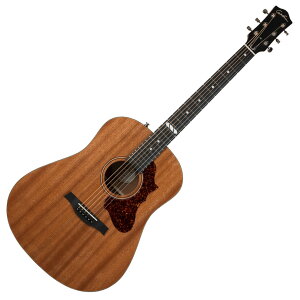 Godin Metropolis Composer EQ GARM^[ S_