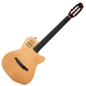 Godin ACS Nylon Natural SG GKbgM^[ S_