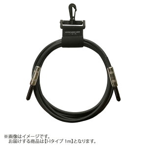 CAJ (Custom Audio Japan) Legacy I-I 1m 5YW �M�^�[�P�[�u�� I-I�^�C�v 5�N�ۏ� �J�X�^���I�[�f�B�I�W���p��