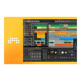 BITWIG Studio Producer ビットウィグ [メール納品 代引き不可]