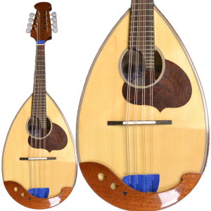 Calace No.24 }h C^A J[`F