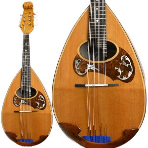 Calace NVR A XyV/ }h I[ZbN V_[ C^A J[`F