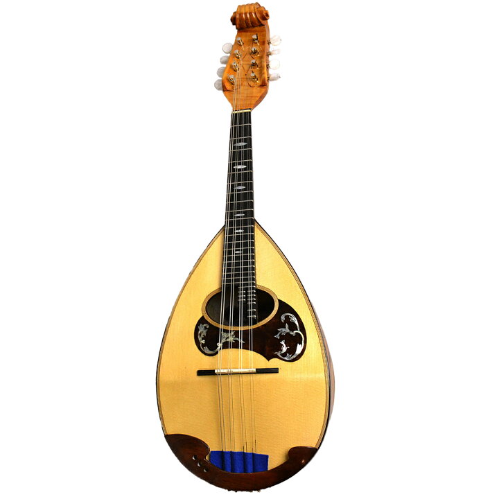 楽天市場】Calace クラシコA スペシャル オールセラック マンドリン  