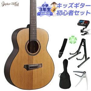 Gopher Wood Guitars i210RS w 3NeILbYM^[S҃Zbg qAR[XeBbNM^[ [XebhXv[XP ~jM^[ GSTCY StFEbhM^[Y