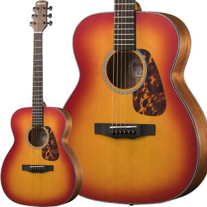 MORRIS F-021 CS (`F[To[Xg) AR[XeBbNM^[ gbvP \tgP[Xt FV[Y [X