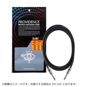 �y15���̓G���g���[�ł����P5�{�zProvidence LE501 3m S/S BK (�u���b�N) �M�^�[�P�[�u�� �v�����B�f���X