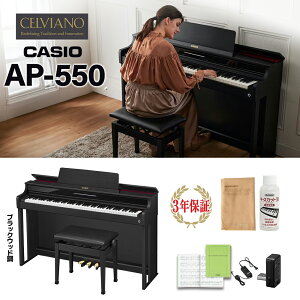 CASIO AP-550BK ubNEbh dqsAm ZBA[m 88 JVI yzݒuzysz