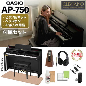 CASIO AP-750BK ubNEbh dqsAm ZBA[m 88 wbhzECg}T}bgEgm[Zbg JVI yzݒuzysz
