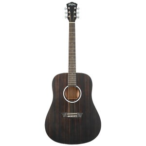 WASHBURN EBONY D AR[XeBbNM^[ bVo[