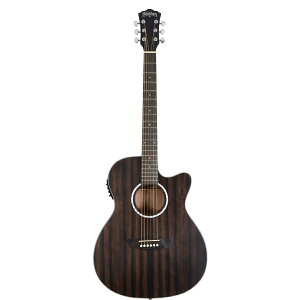 WASHBURN EBONY ACE GARM^[ bVo[