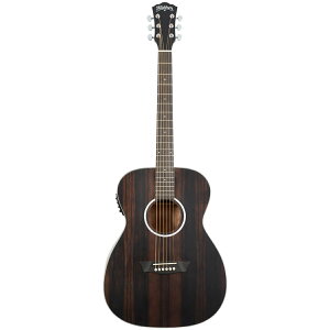 WASHBURN EBONY FE GARM^[ bVo[
