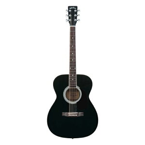Sepia Crue FG-10 Black (ubN) AR[XeBbNM^[ \tgP[Xt ZsAN[