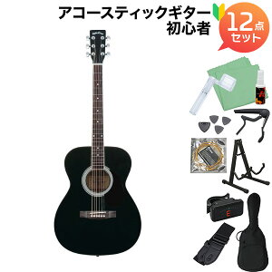 Sepia Crue FG-10 Black (ubN) AR[XeBbNM^[S12_Zbg ZsAN[