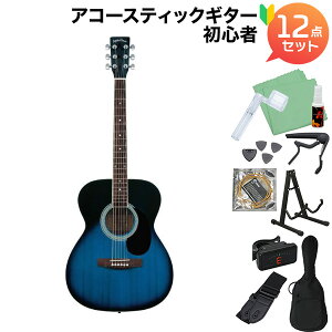 Sepia Crue FG-10 Blue Sunburst (u[To[Xg) AR[XeBbNM^[S12_Zbg ZsAN[