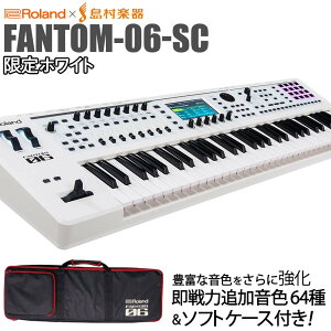 yyVX[p[SALE Gg[P5{z Roland FANTOM-06-SC VZTCU[ zCg ǉt 61 y IWiJ[ [w P[Xt] [h FANTOM06SC