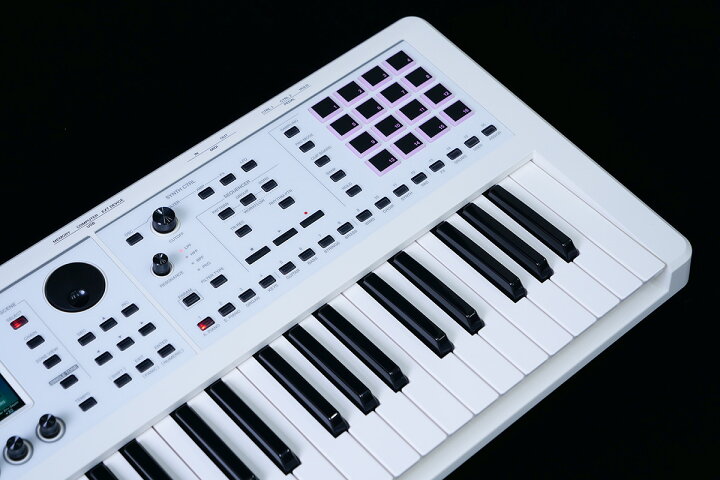楽天市場】Roland FANTOM-06-SC シンセサイザー 限定ホワイト 追加音源 