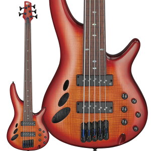 Ibanez SRD905F BTL (Brown Topaz Burst Low Gloss) 5GLx[X \tgP[Xt ACoj[Y