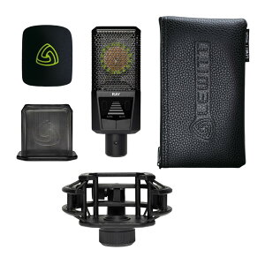 LEWITT RAY �����Z���T�[ �������ߋ@�\�� �R���f���T�[�}�C�N ���E�B�b�g