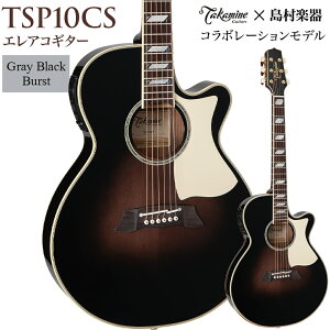 Takamine TSP10CS GAR AR[XeBbNM^[ 630mmXP[ ^J~l
