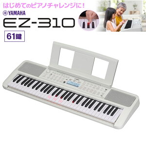 L[{[h dqsAm@錮 YAMAHA EZ-310 61 }n yEZ-300piz