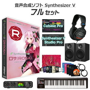 INTERNET Synthesizer V AI T S҃tZbg CV:䂫 C^[lbg