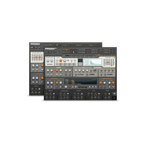 Native Instruments (NI) Reaktor Prism �l�C�e�B�u�C���X�g�D�������c [���[���[�i ������s��]