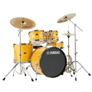 YAMAHA RYDEEN RDP2F5STD YL hZbg [CG[ yoXh22C`dlz }n CfB[