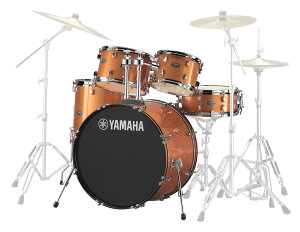 YAMAHA RYDEEN RDP2F5 ORG h VFZbg IWOb^[ yoXh22C`dlz }n CfB[