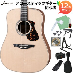 James J-300DII NAT AR[XeBbNM^[S12_Zbg hbhm[g ȒP gbvP WF[X